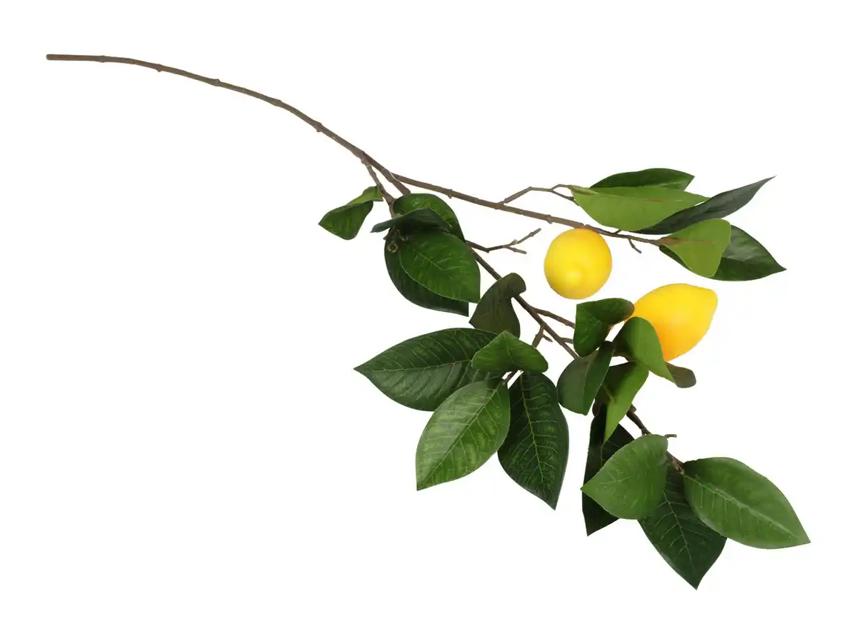 Bild 1 von Künstlicher Zitronenzweig 85cm