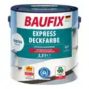 Bild 1 von 2in1 Express Deckfarbe Dunkelgrün 2,5 Liter 2er set