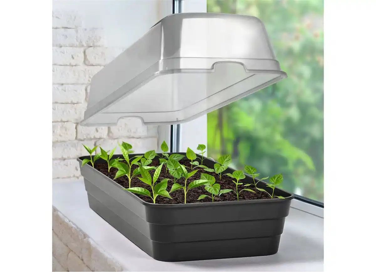 Bild 1 von Mini-Aufzuchtbeet mit Haube 51,5x23cm