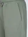 Bild 4 von Herren Sweatshorts Grün