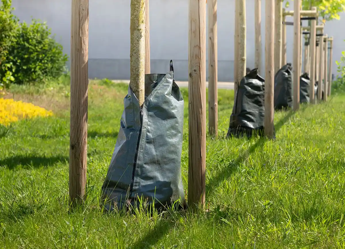 Bild 1 von Grüner Jan Baum-Bewässerungsbeutel 75 Liter