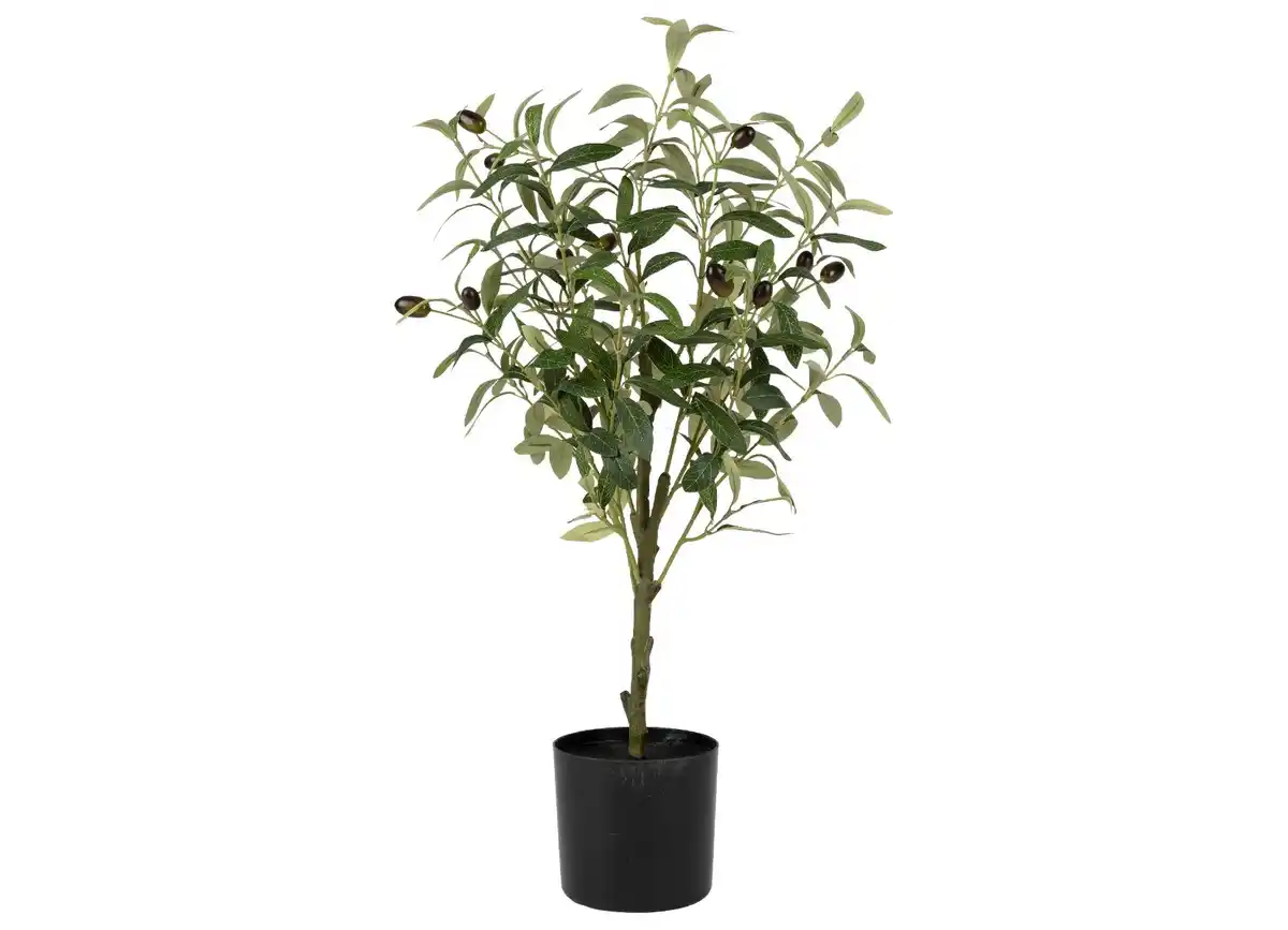 Bild 1 von Künstlicher Olivenbaum 66cm