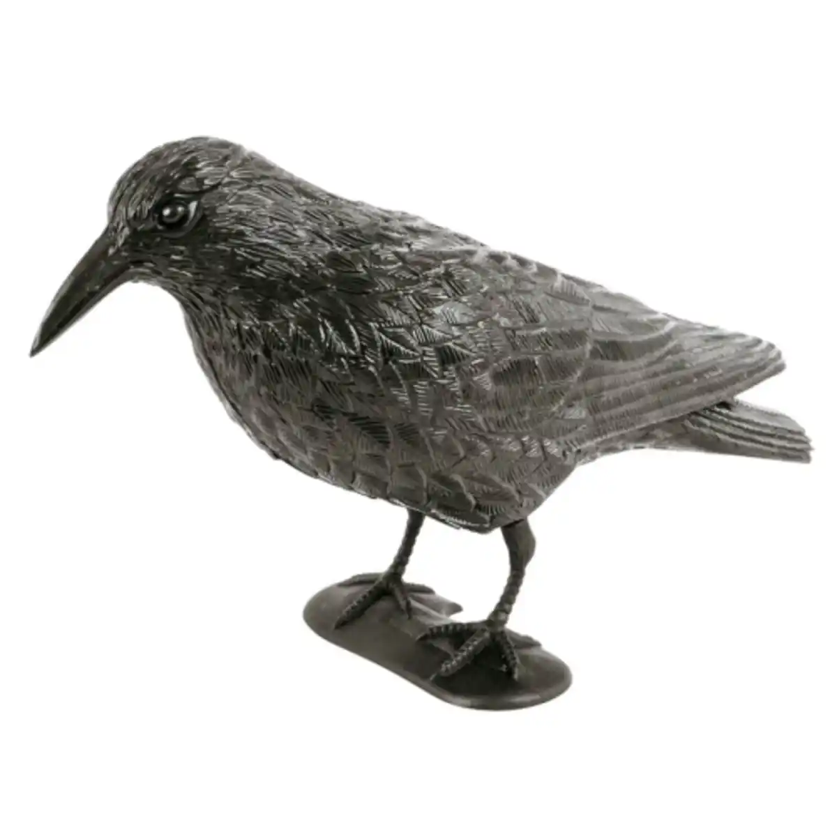 Bild 1 von Taubenschreck Rabe Ob im Garten oder auf dem Balkon