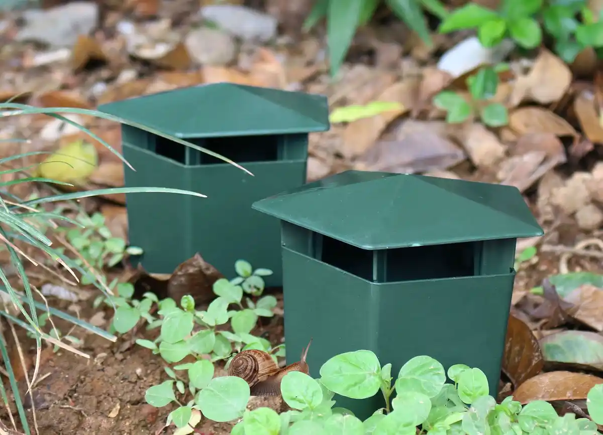 Bild 1 von Schneckenfalle 2er-Set 12,5x10x12,5cm