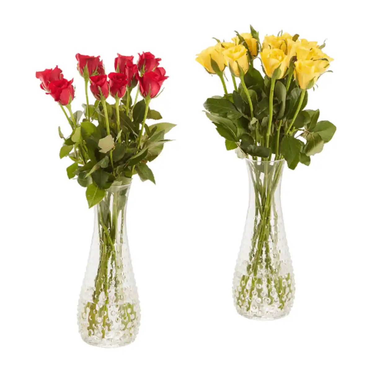 Bild 1 von GARDENLINE Rosen