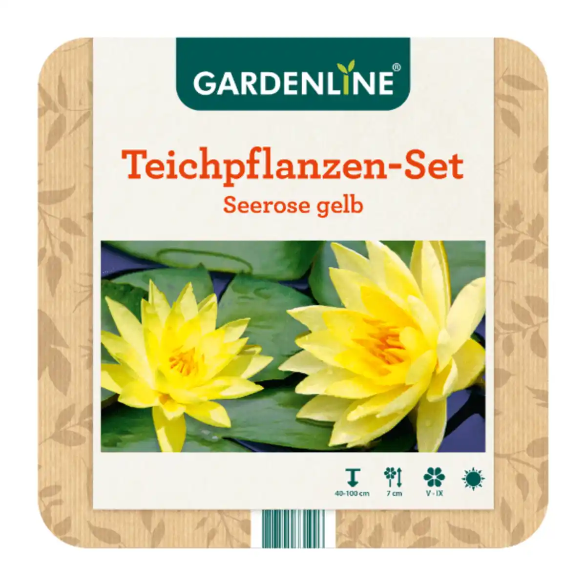 Bild 4 von GARDENLINE Teichpflanzen-Set