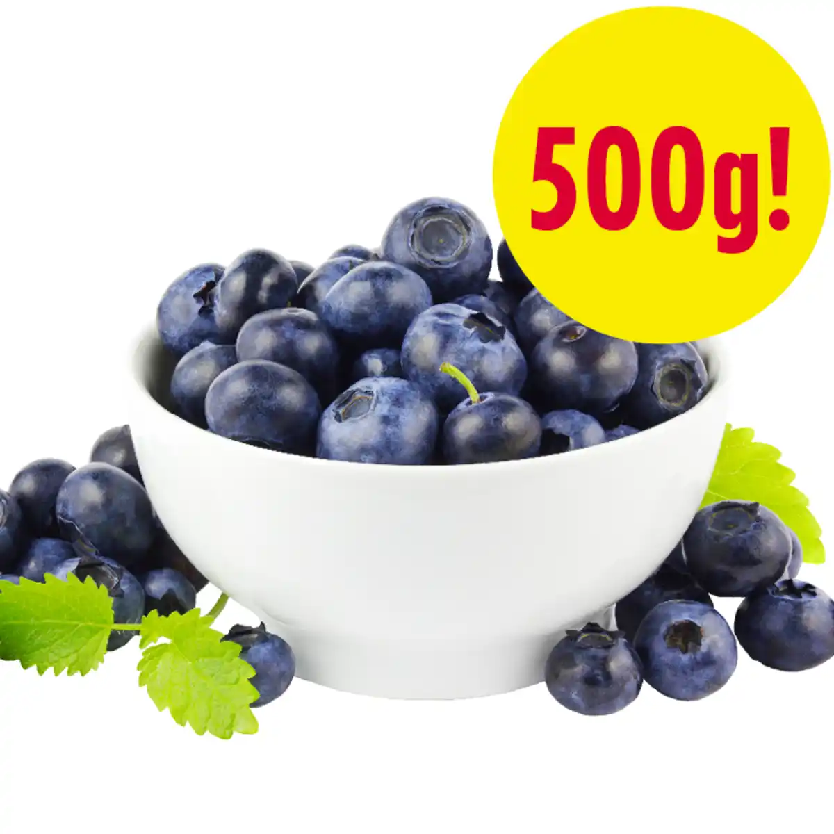 Bild 1 von Kulturheidelbeeren