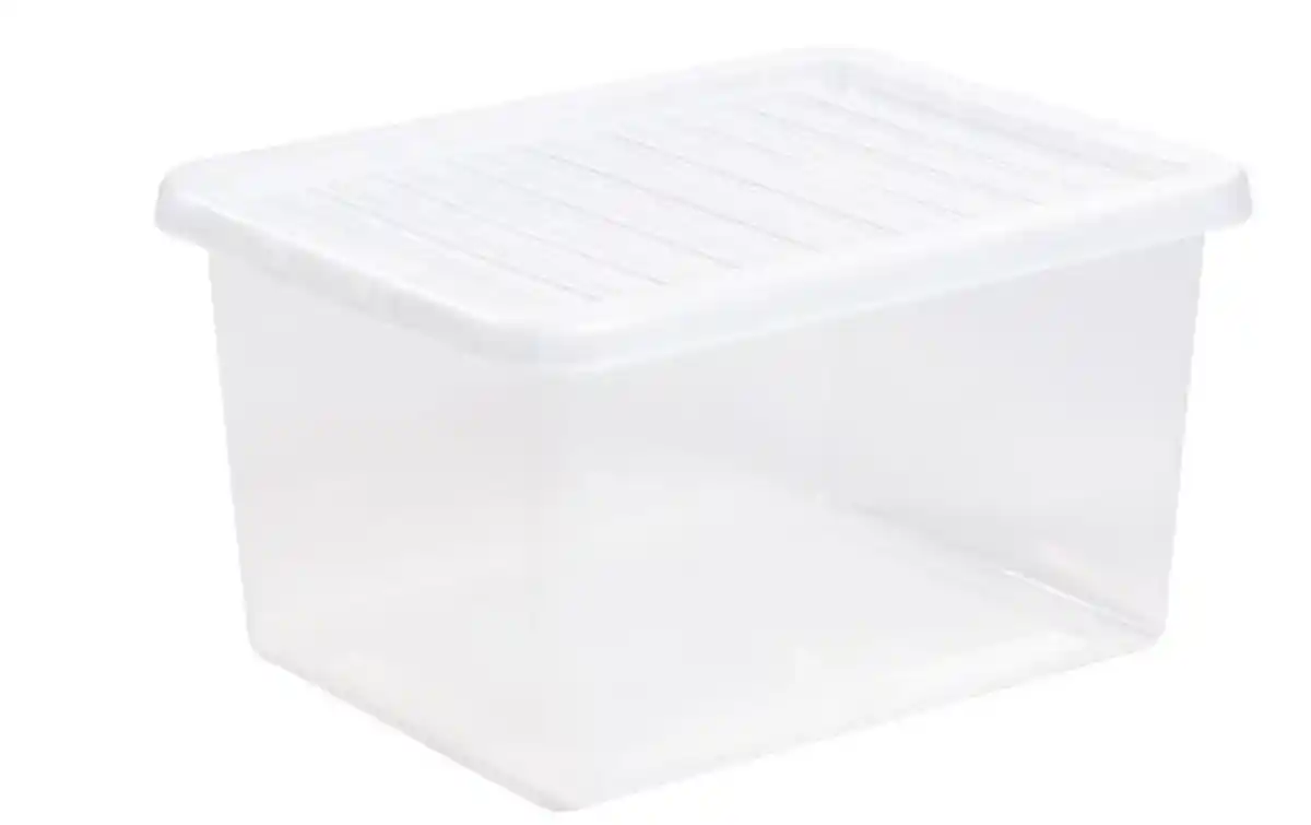 Bild 1 von Box mit Deckel 31l