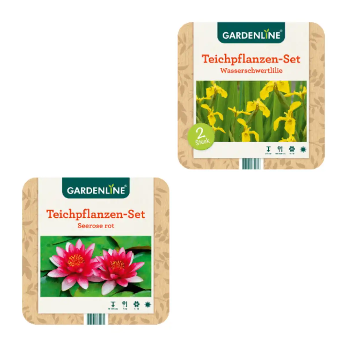Bild 1 von GARDENLINE Teichpflanzen-Set
