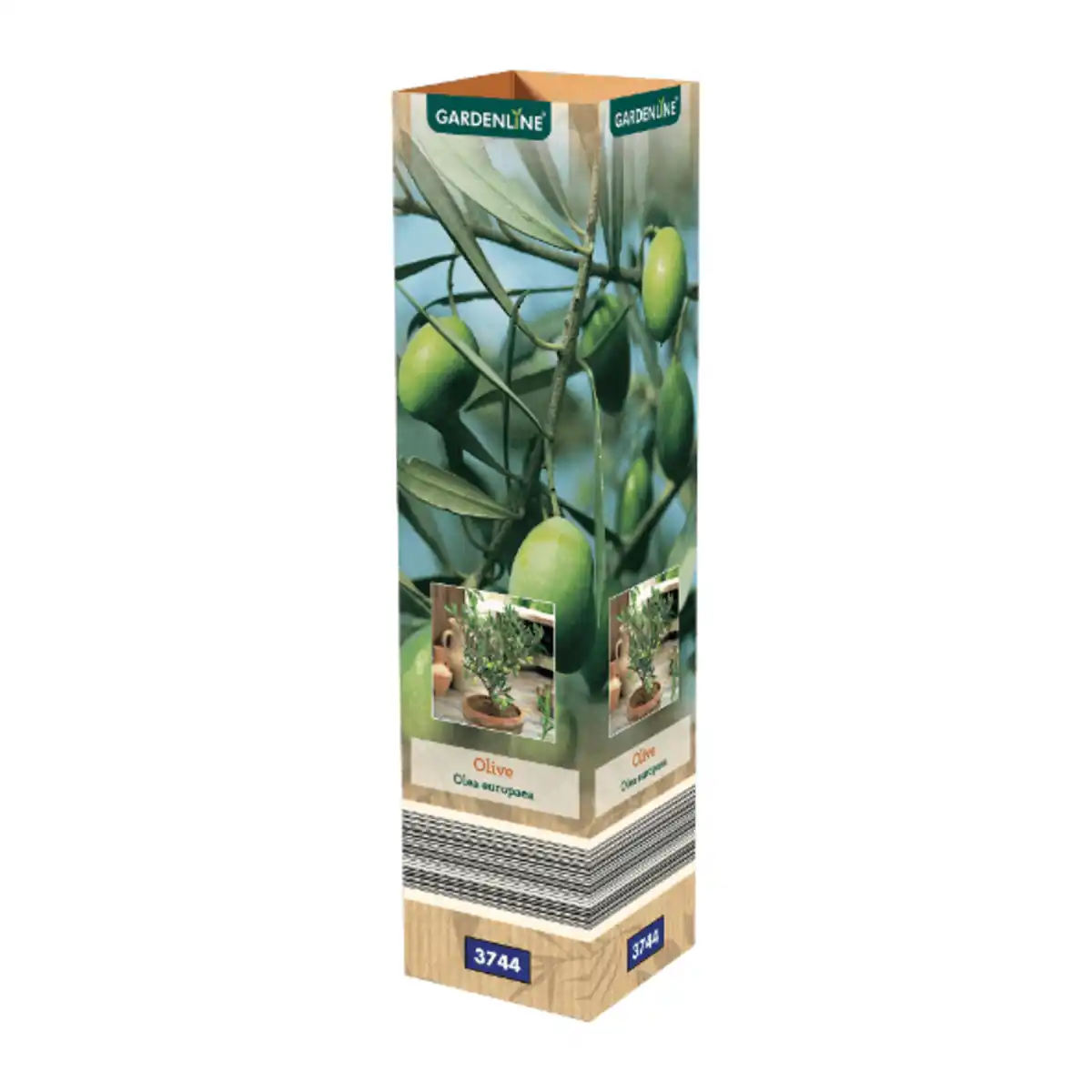 Bild 4 von GARDENLINE Mediterrane Pflanze