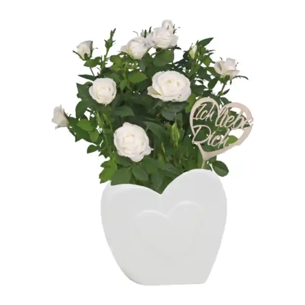 Bild 3 von GARDENLINE Rosen in Herzkeramik
