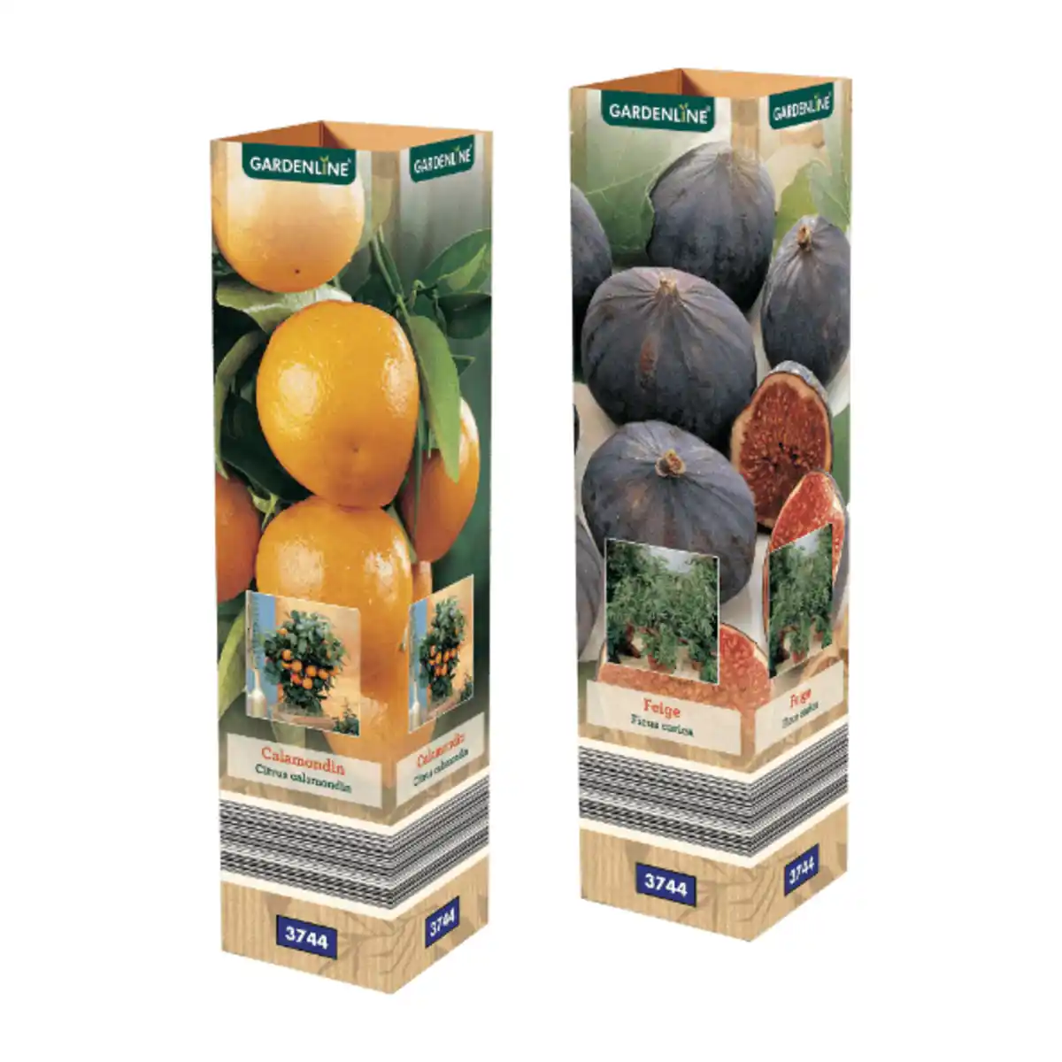 Bild 1 von GARDENLINE Mediterrane Pflanze