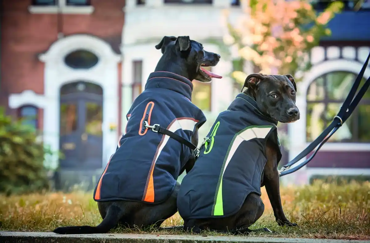 Bild 1 von Reflektierende Hundejacke Gr.L Farbe: Blau