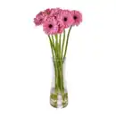 Bild 3 von GARDENLINE Germini