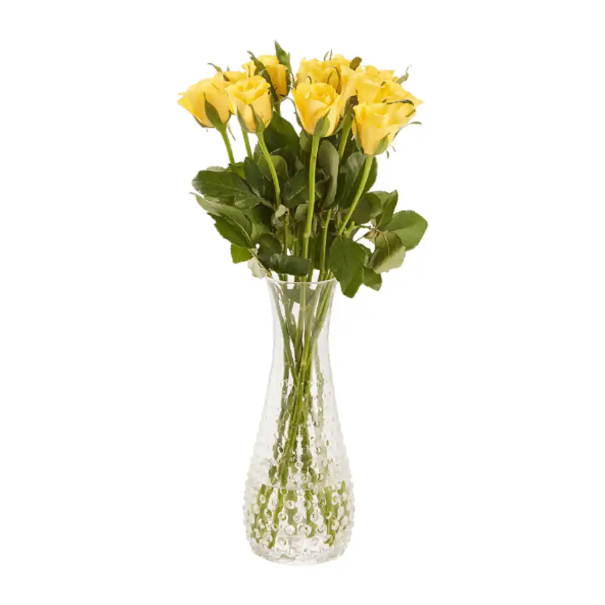 Bild 2 von GARDENLINE Rosen