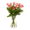 Bild 3 von GARDENLINE Fairtrade-Rosen