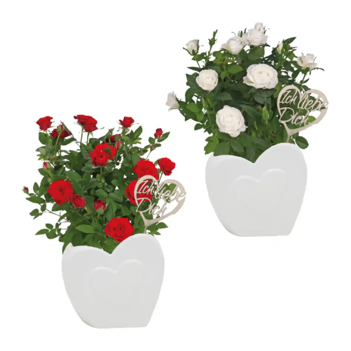 Bild 1 von GARDENLINE Rosen in Herzkeramik