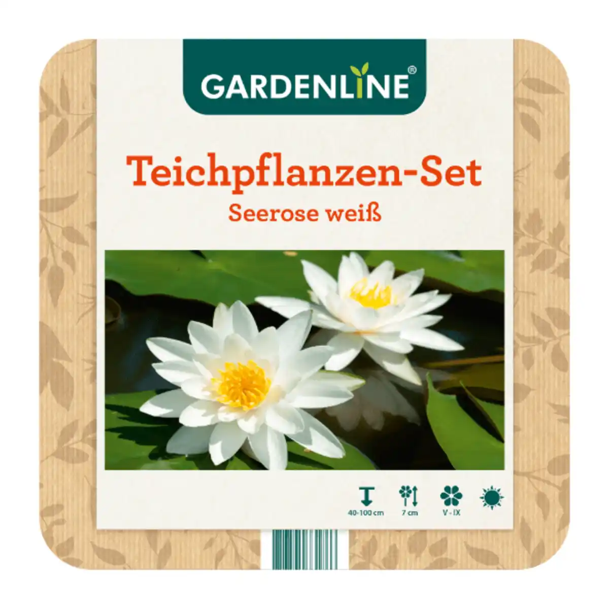 Bild 2 von GARDENLINE Teichpflanzen-Set