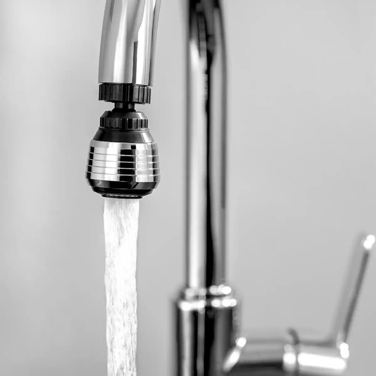 Bild 1 von Casa Royale Schwenkbrause 2er