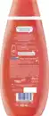 Bild 2 von Schauma Shampoo Stronger for Longer, 400 ml