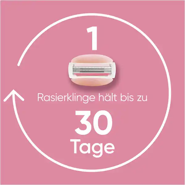 Bild 3 von Gillette Venus Klingen Comfortglide Spa Breeze System Big Pack