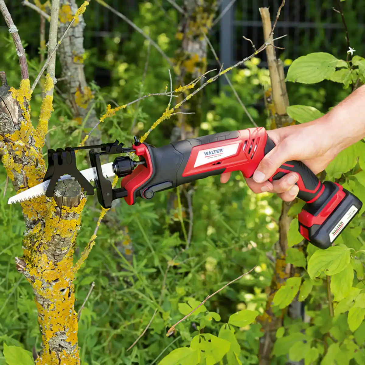 Bild 1 von Walter Li-Ion Akku-Säbelsäge