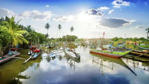 Bild 1 von Sri Lanka - Rundreise & Baden