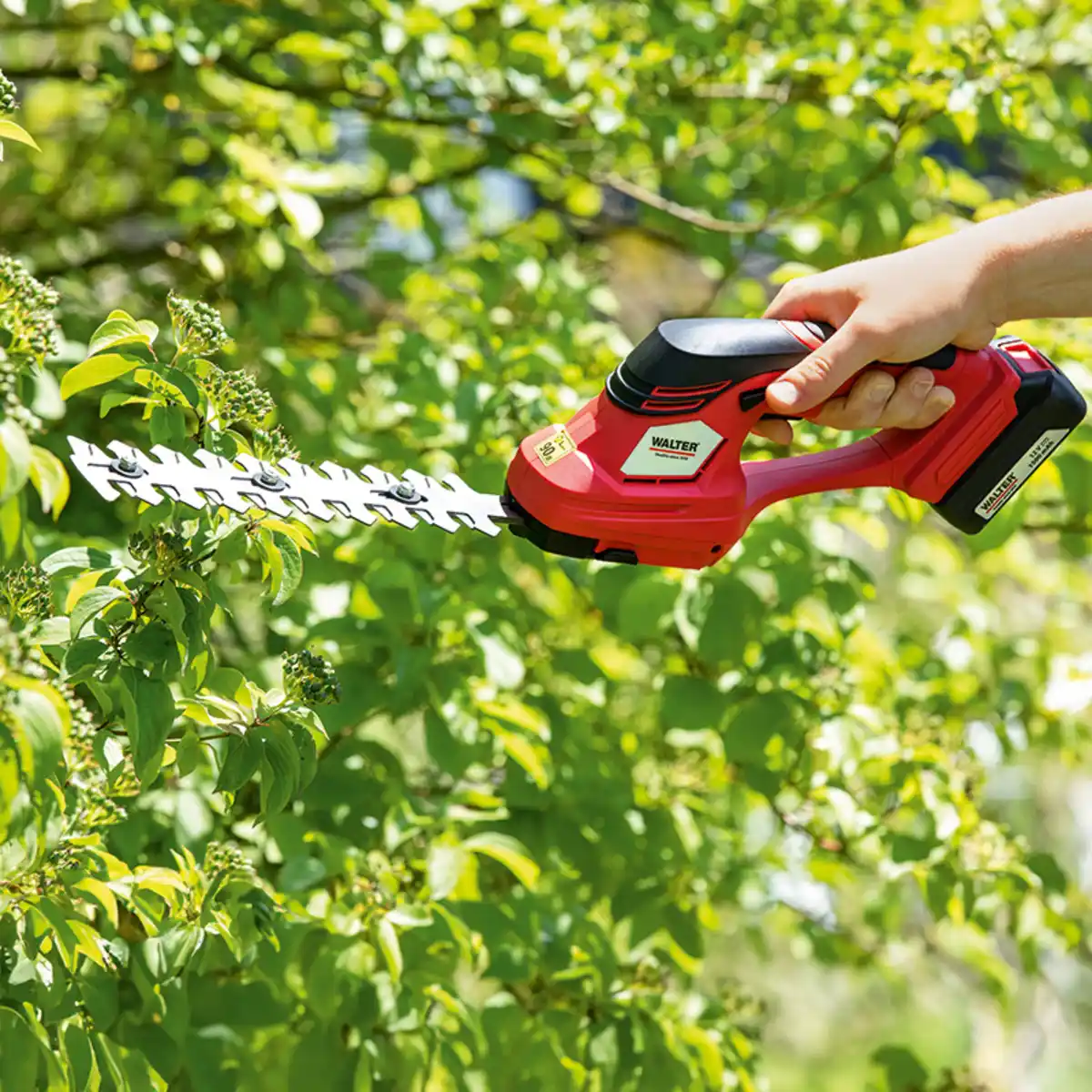 Bild 1 von Walter Li-Ion Akku Gras- und Strauchschere