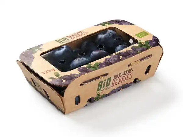 Bild 1 von Bio Heidelbeeren,  125 g