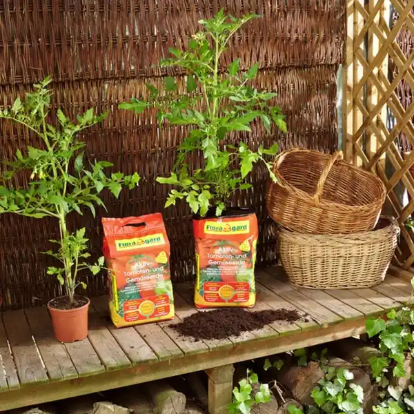 Bild 2 von Pflanzerde »Aktiv«, für Tomaten und Gemüse