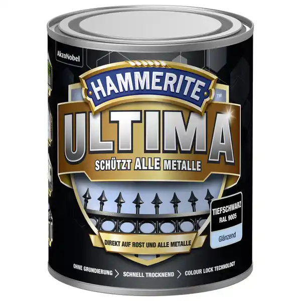 Bild 1 von Hammerite Metallschutzlack 'RAL 9005' tiefschwarz glänzend 750 ml
