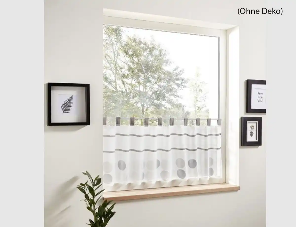 Bild 1 von Scheibengardine Malie