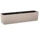 Bild 1 von LECHUZA® Kunststoff-Kasten Balconera Color, rechteckig