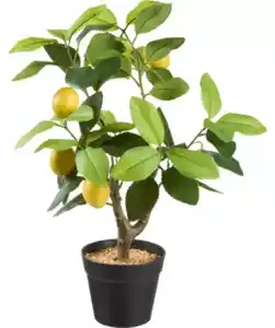 Kunst-Zitronenbaum, gelb