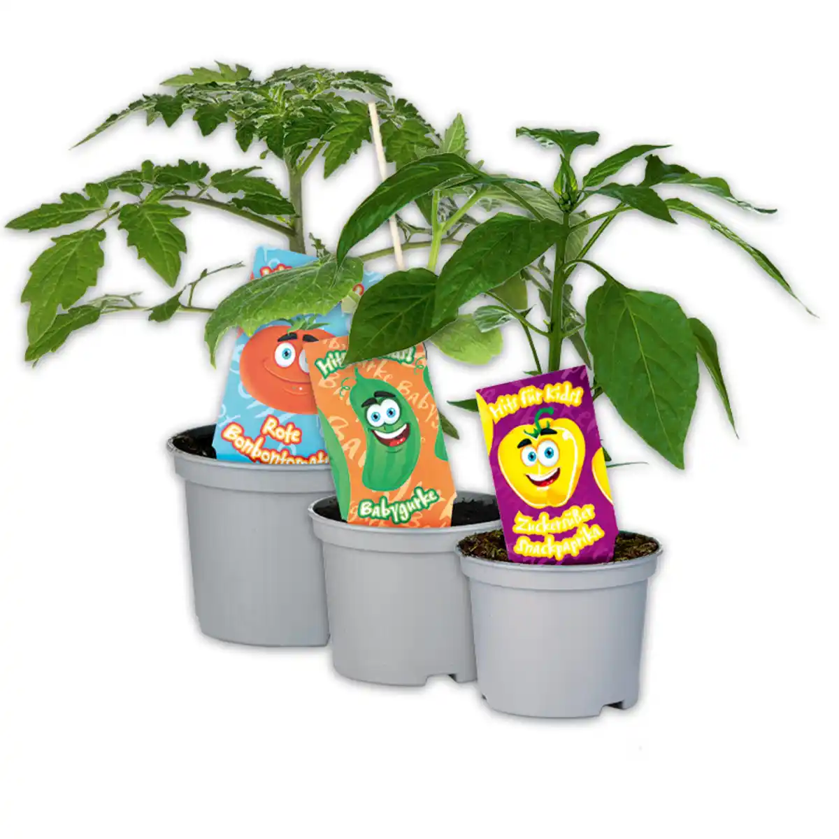 Bild 1 von Kindergemüse "Hits für Kids"