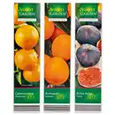 Bild 1 von Finest Garden Mediterrane Pflanzen