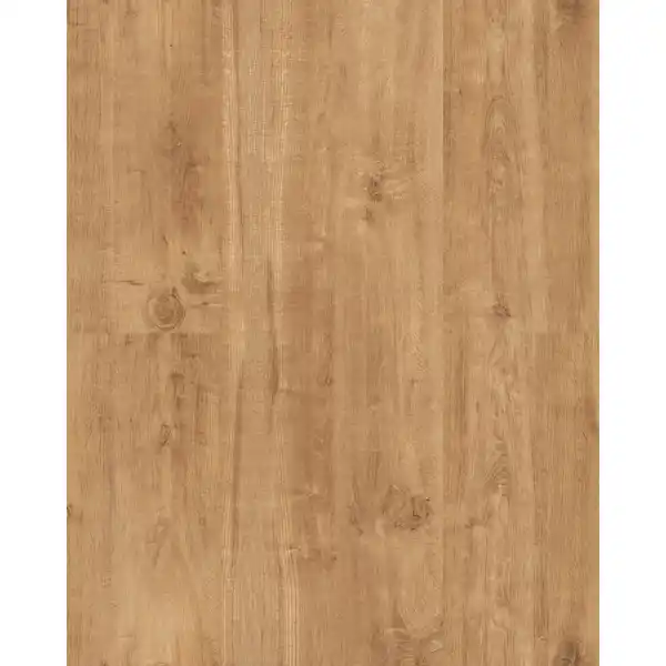 Bild 1 von Eurostone Terrassenplatte Feinsteinzeug TimberTwo Naturale Braun 40 cm x 120 cm