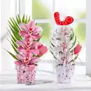 Bild 1 von Orchideengesteck