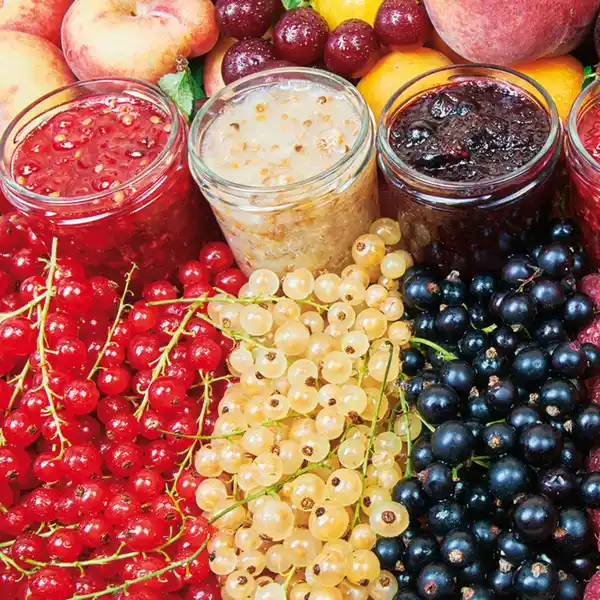 Bild 2 von Finest Garden Johannisbeer-Stamm