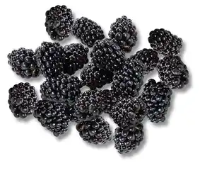 Portug./marokk. Brombeeren, 170-g-Packg.