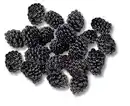 Bild 1 von Portug./marokk. Brombeeren, 170-g-Packg.