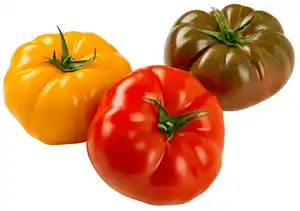 Dtsch. Fleischtomaten bunt, lose, kg