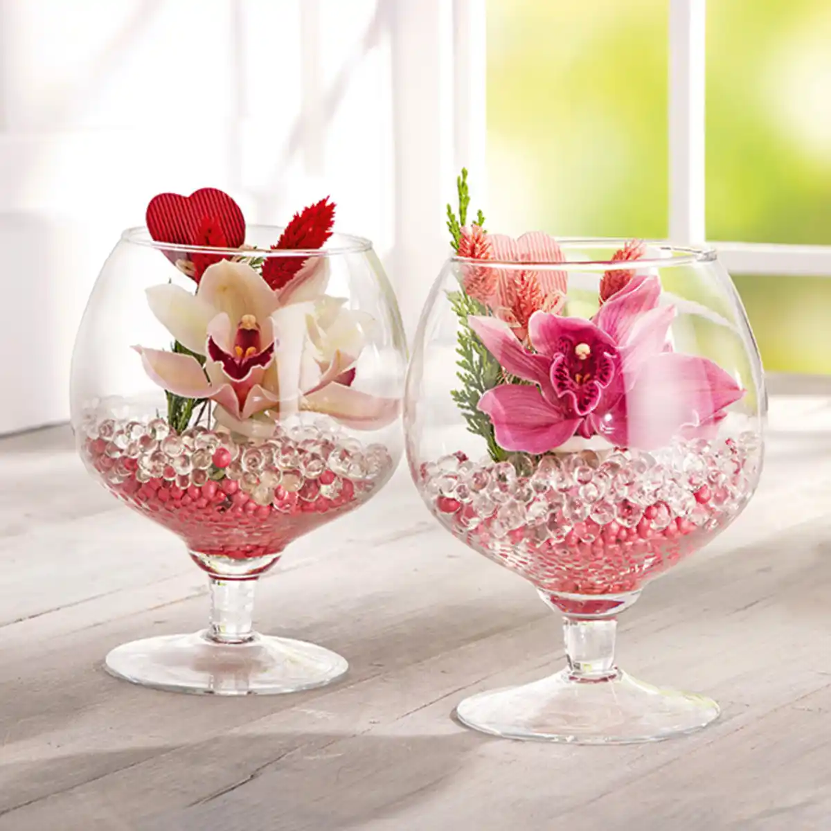 Bild 1 von Cymbidium