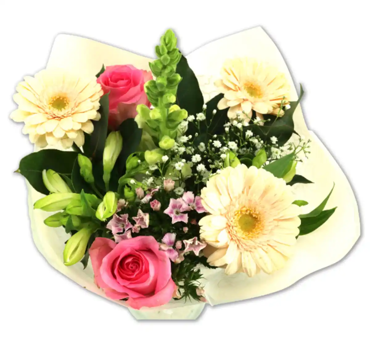 Bild 1 von Strauß „Loving“*