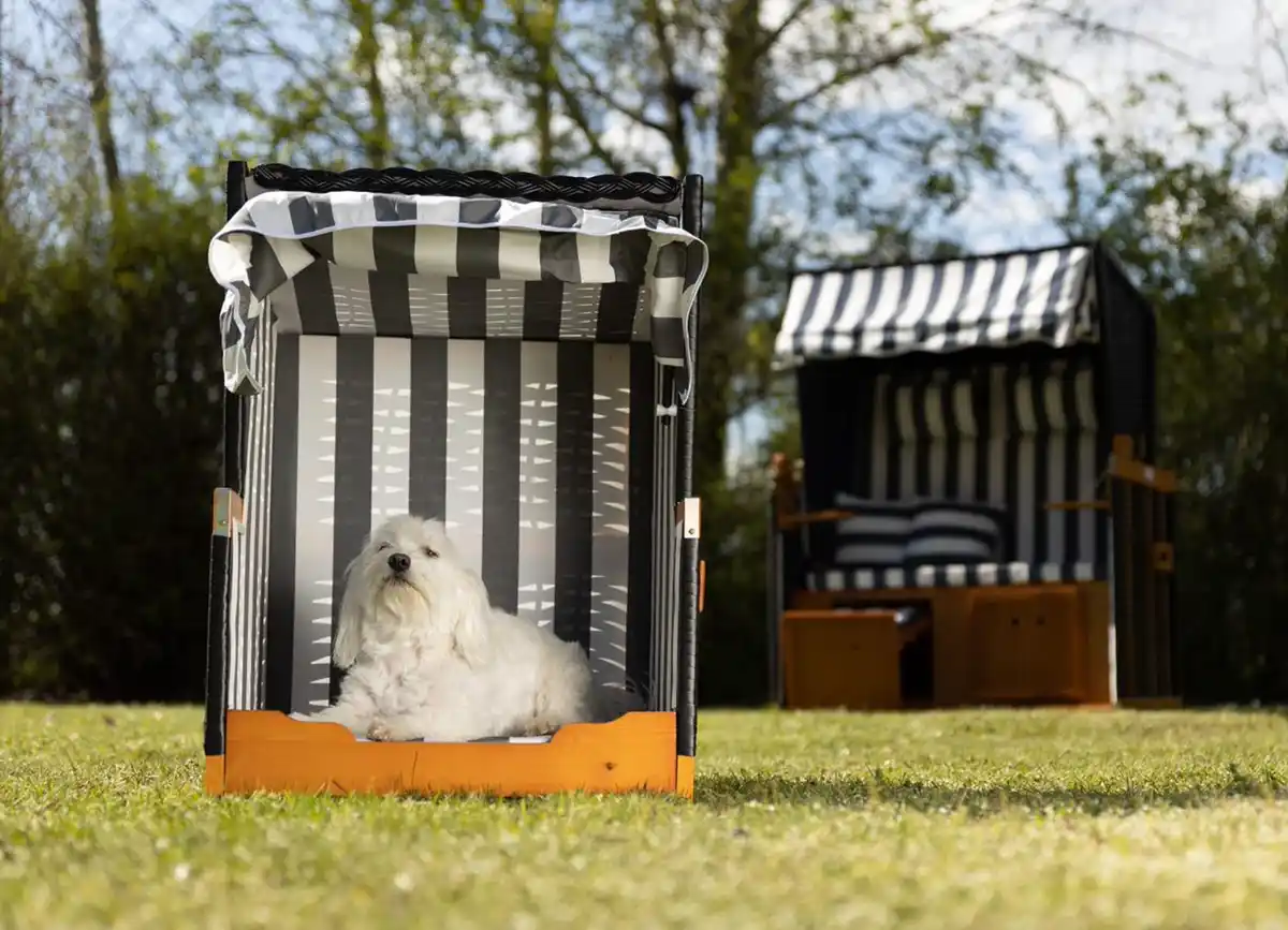 Bild 1 von Hundestrandkorb Blau/Weiß