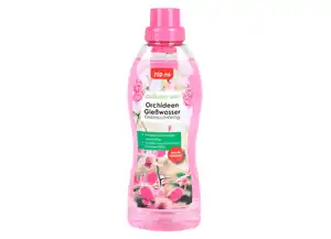 Grüner Jan Orchideen Gießwasser