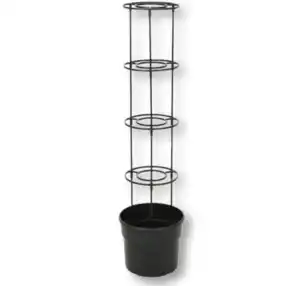 Tomaten-Pflanzturm