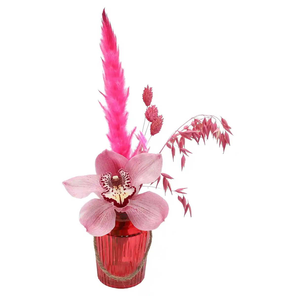 Bild 1 von GARDENLINE Cymbidium in Glasvase