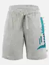 Bild 1 von Jungen Sweatshorts mit Krokodil Grau