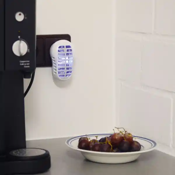 Bild 4 von Gardigo Obstfliegen-Vernichter